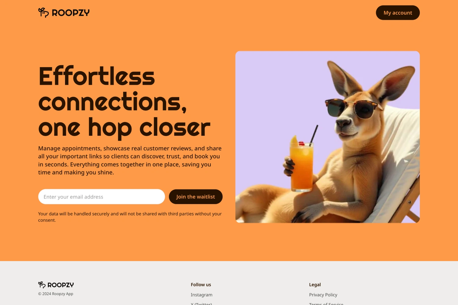 Roopzy product design overview